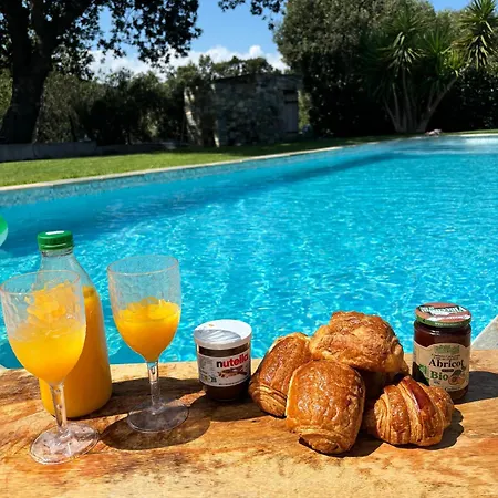 Charming Villa, Private Pool Semesterbostad Barbaggio